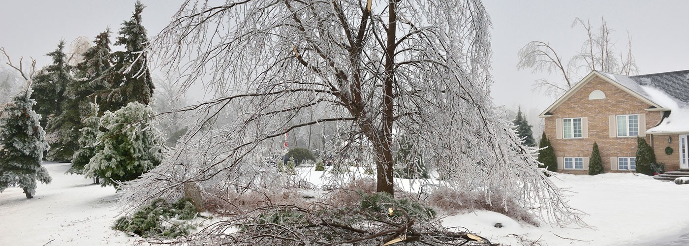 Que faire lors d’une tempête de verglas ?